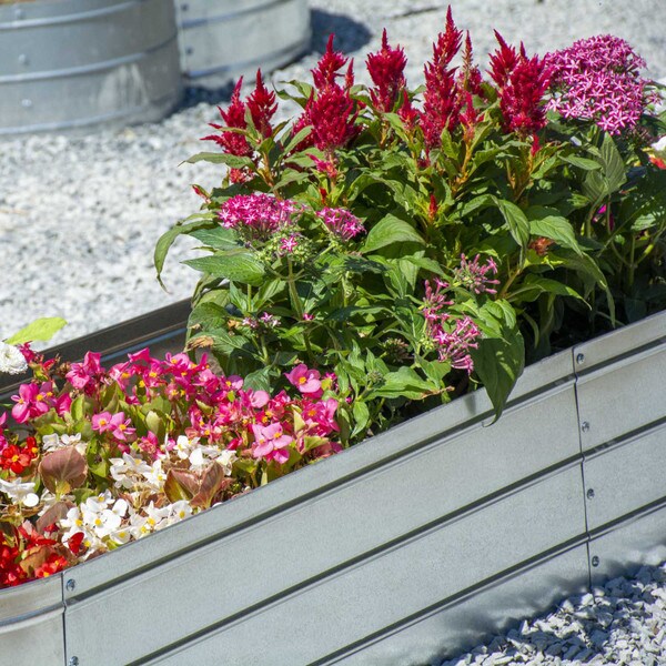 Oval galvanized steel planter